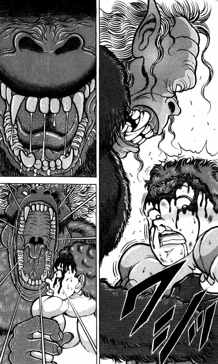 Read Baki the Grappler Manga Online