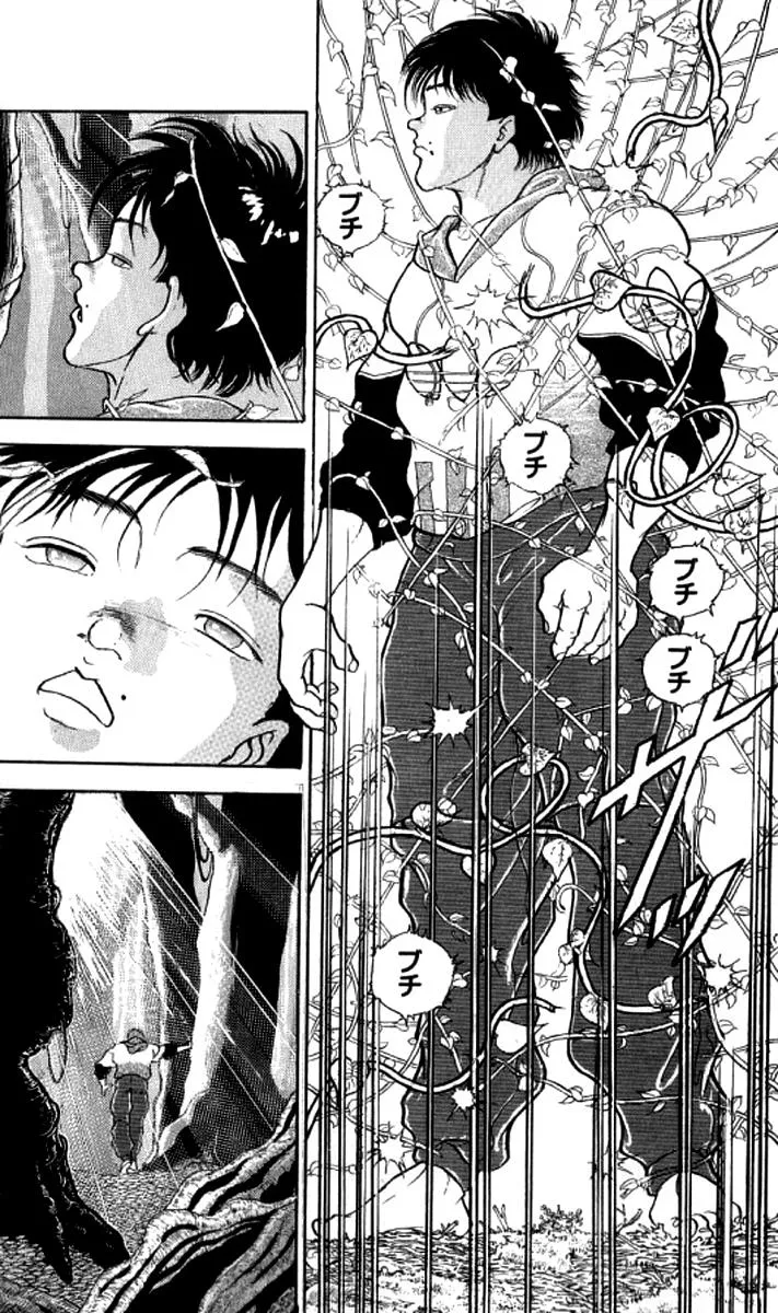 Read Baki the Grappler Manga Online