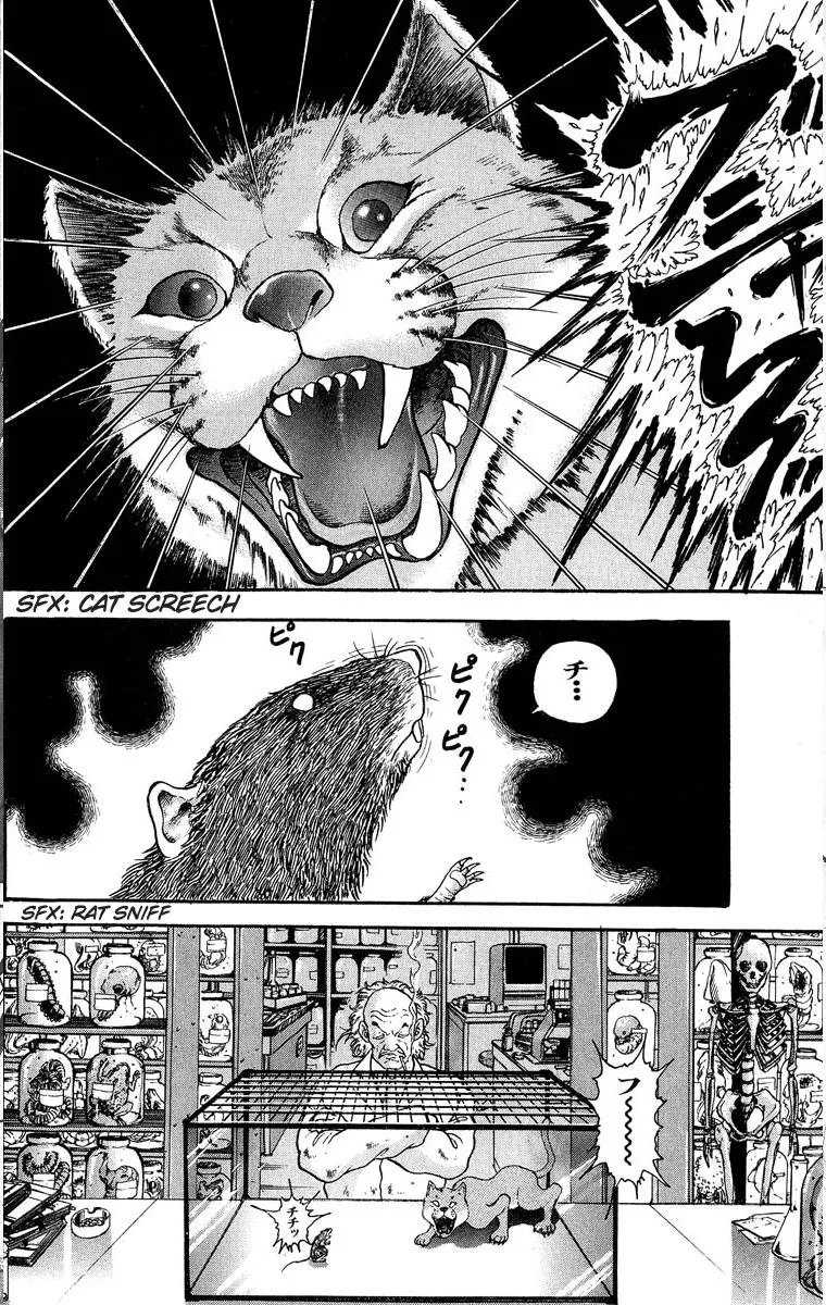 Read Baki the Grappler Manga Online