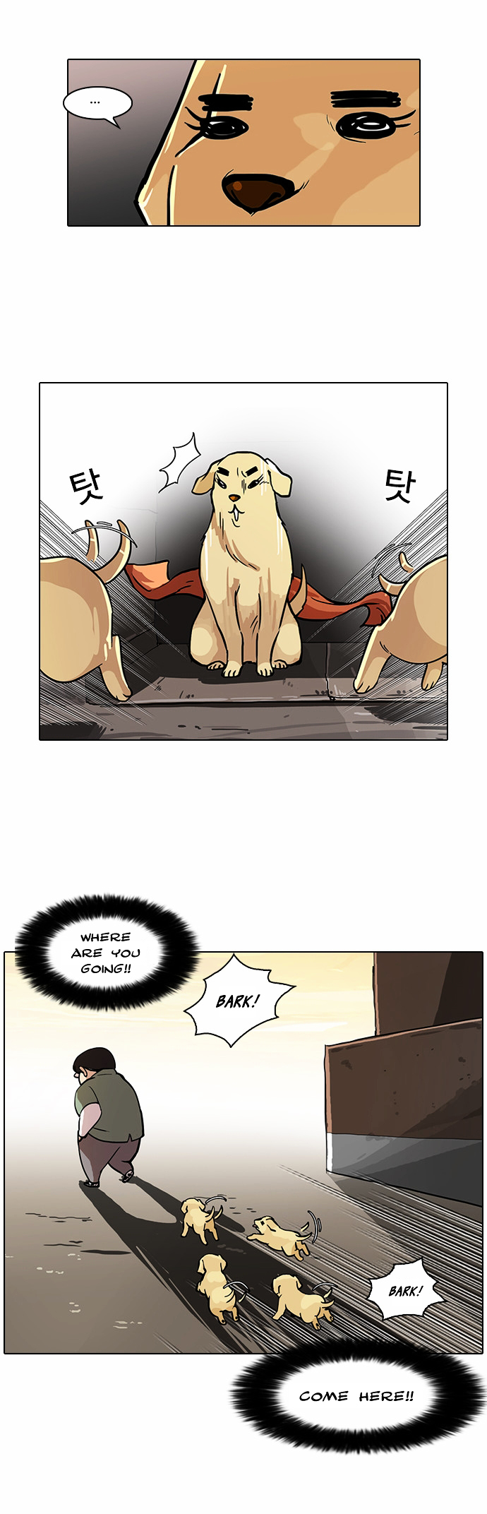 Read Lookism Manga Online