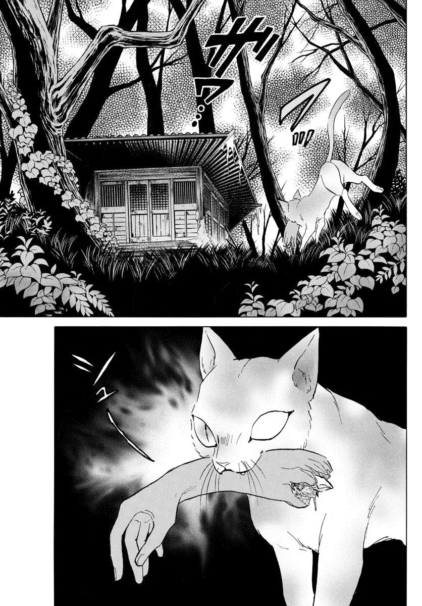 Read Mao Manga Online