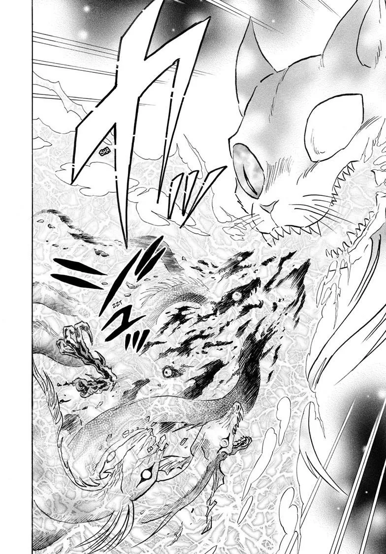 Read Mao Manga Online