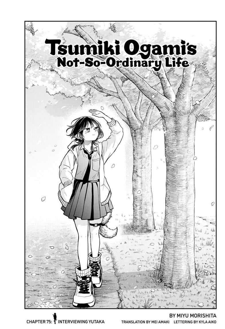 Read Ogami Tsumiki To Kinichijou Manga Online