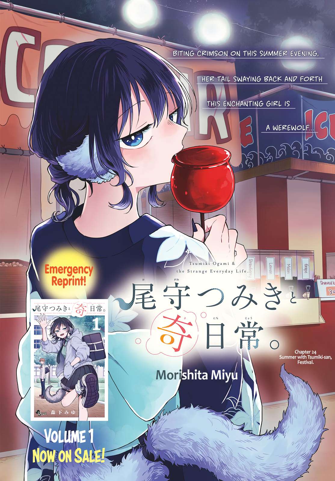 Read Ogami Tsumiki To Kinichijou Manga Online