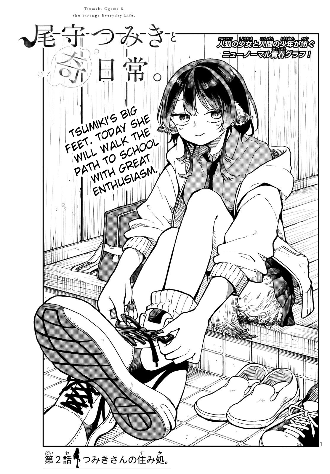 Read Ogami Tsumiki To Kinichijou Manga Online