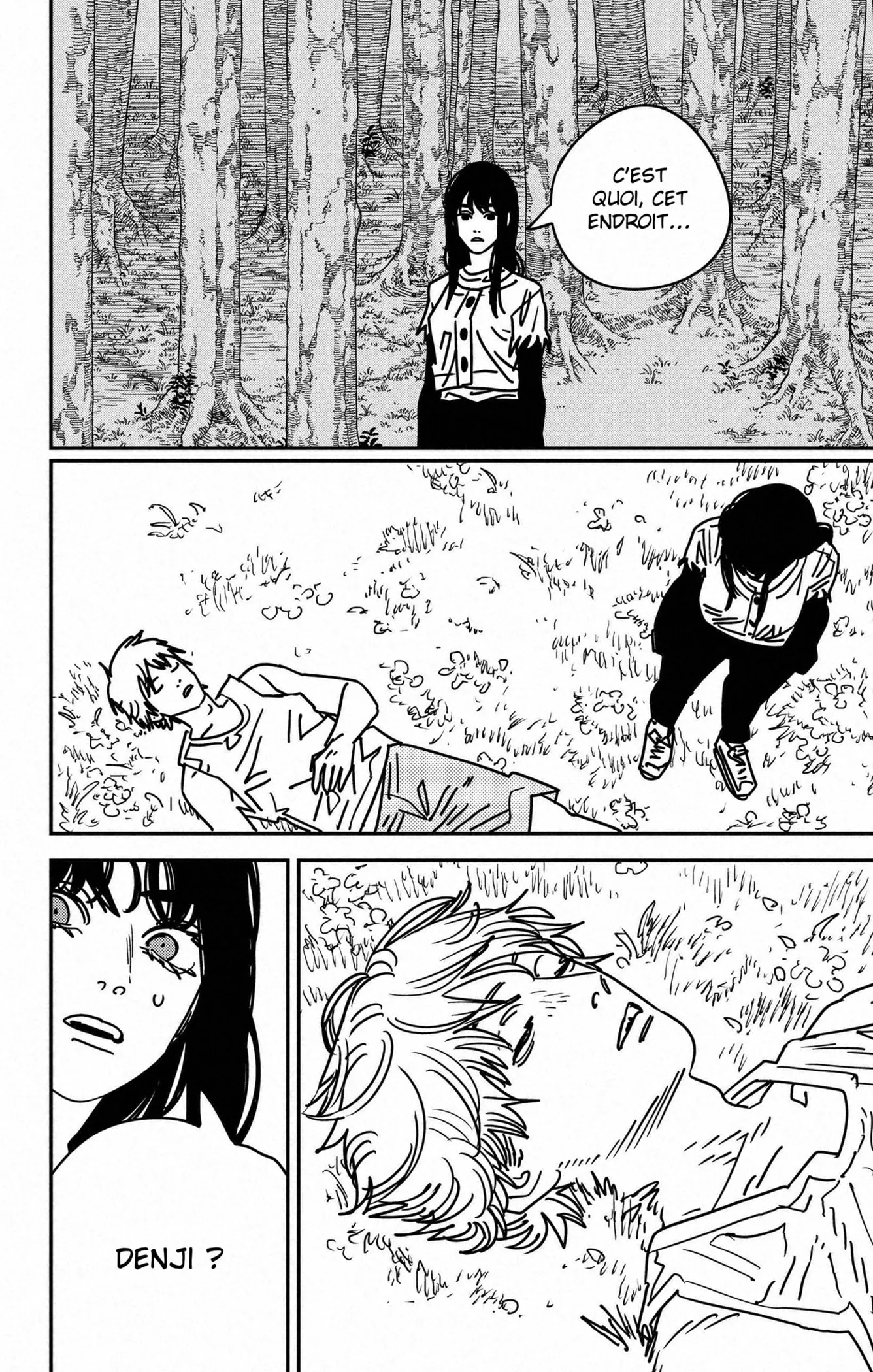 Read Chainsaw Man fr Manga Online