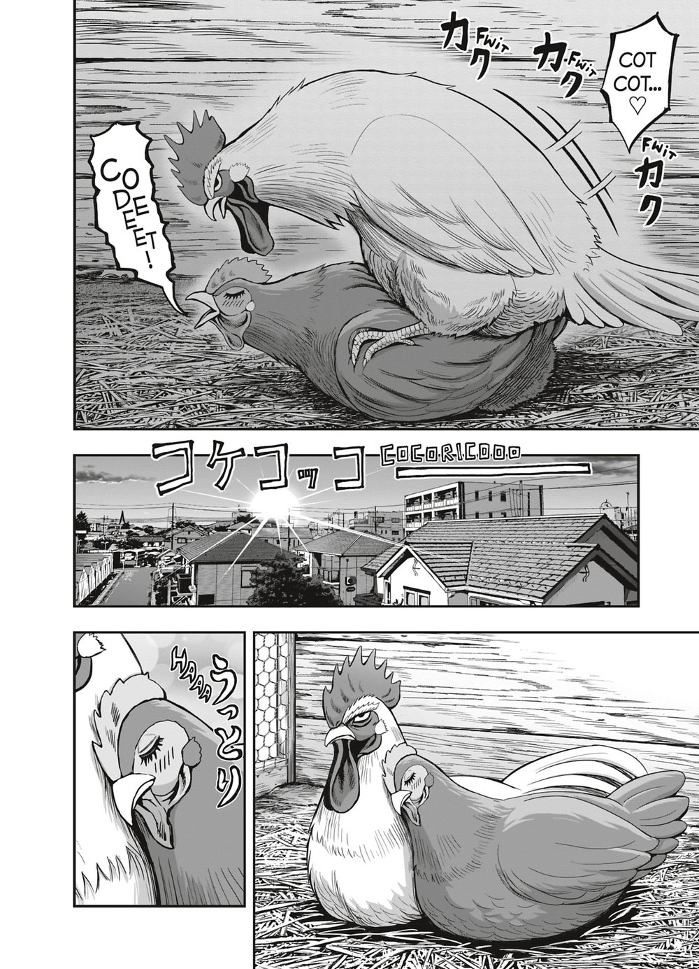 Read Niwatori Fighter Rooster Fighter fr   Manga Online