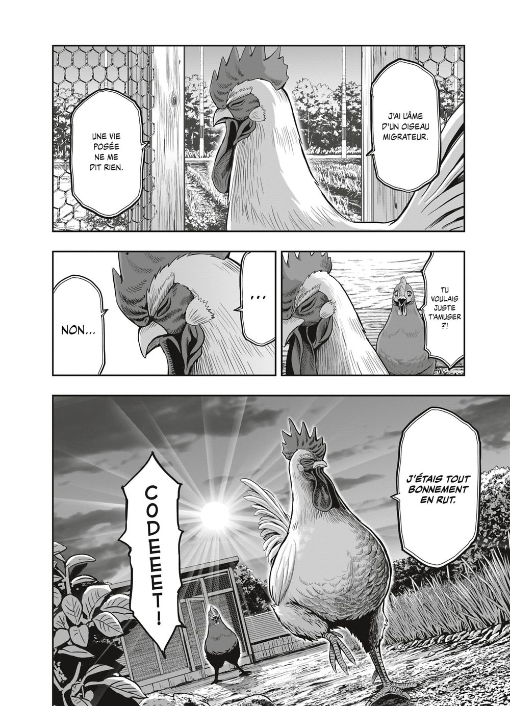 Read Niwatori Fighter Rooster Fighter fr   Manga Online