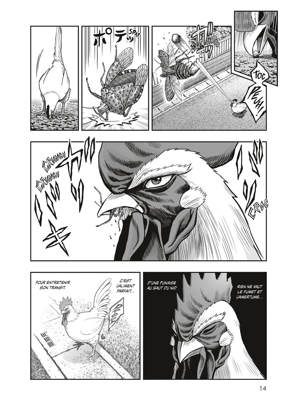 Read Niwatori Fighter Rooster Fighter fr   Manga Online