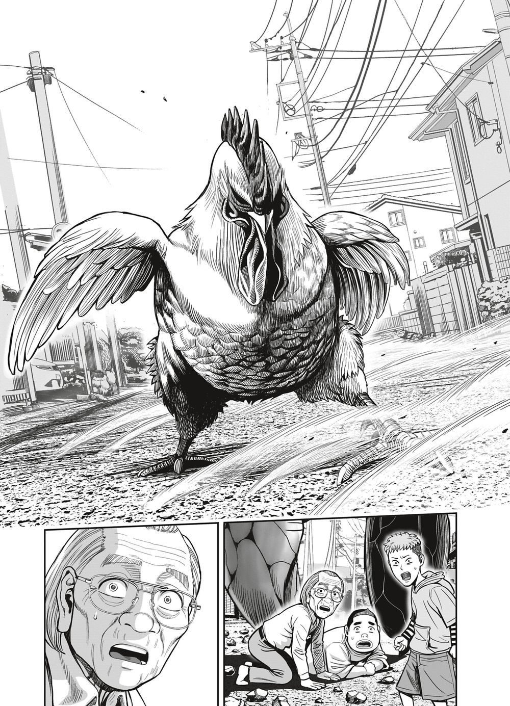 Read Niwatori Fighter Rooster Fighter fr   Manga Online