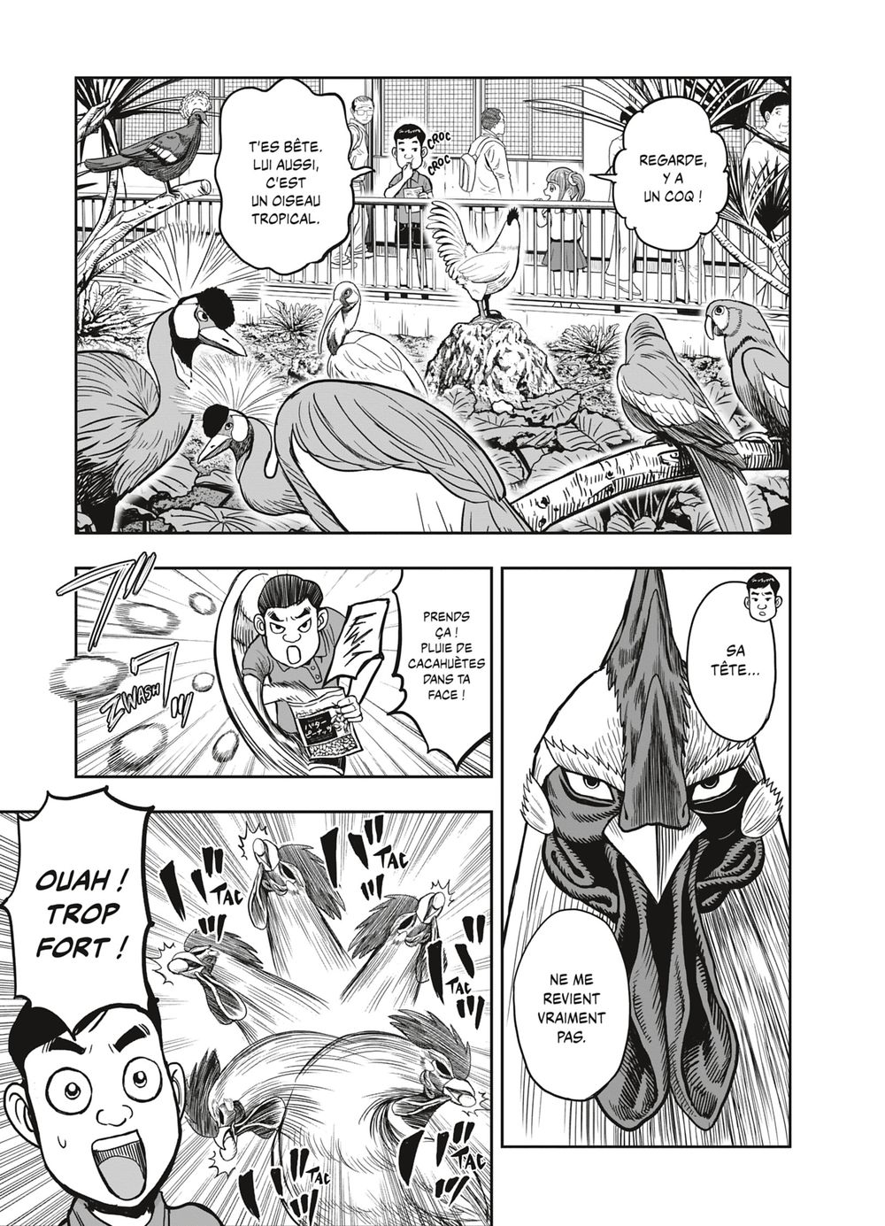 Read Niwatori Fighter Rooster Fighter fr   Manga Online