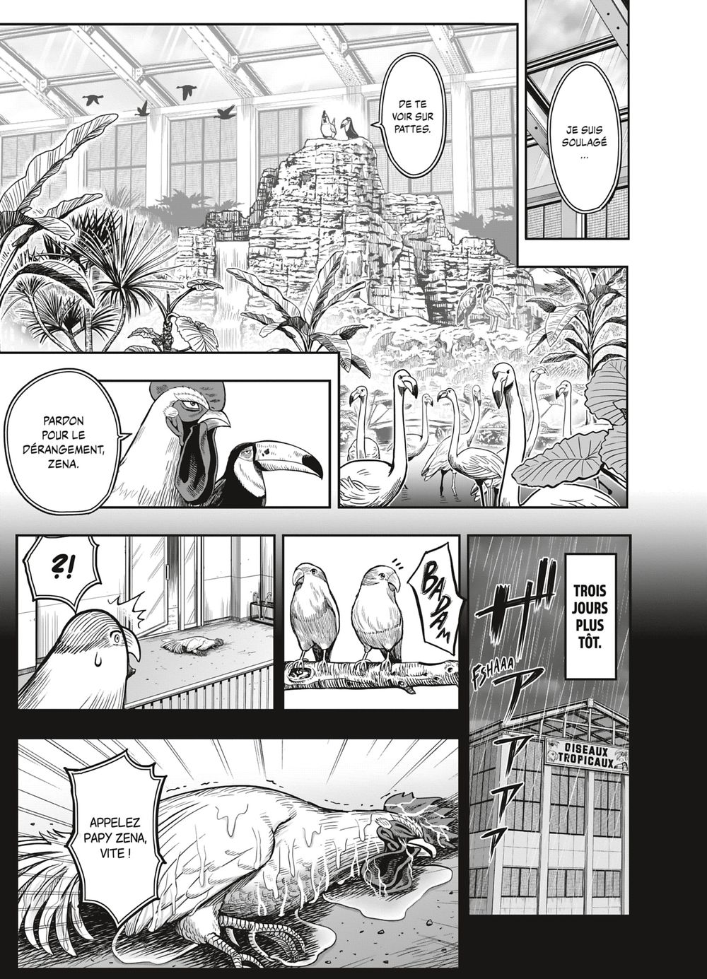Read Niwatori Fighter Rooster Fighter fr   Manga Online
