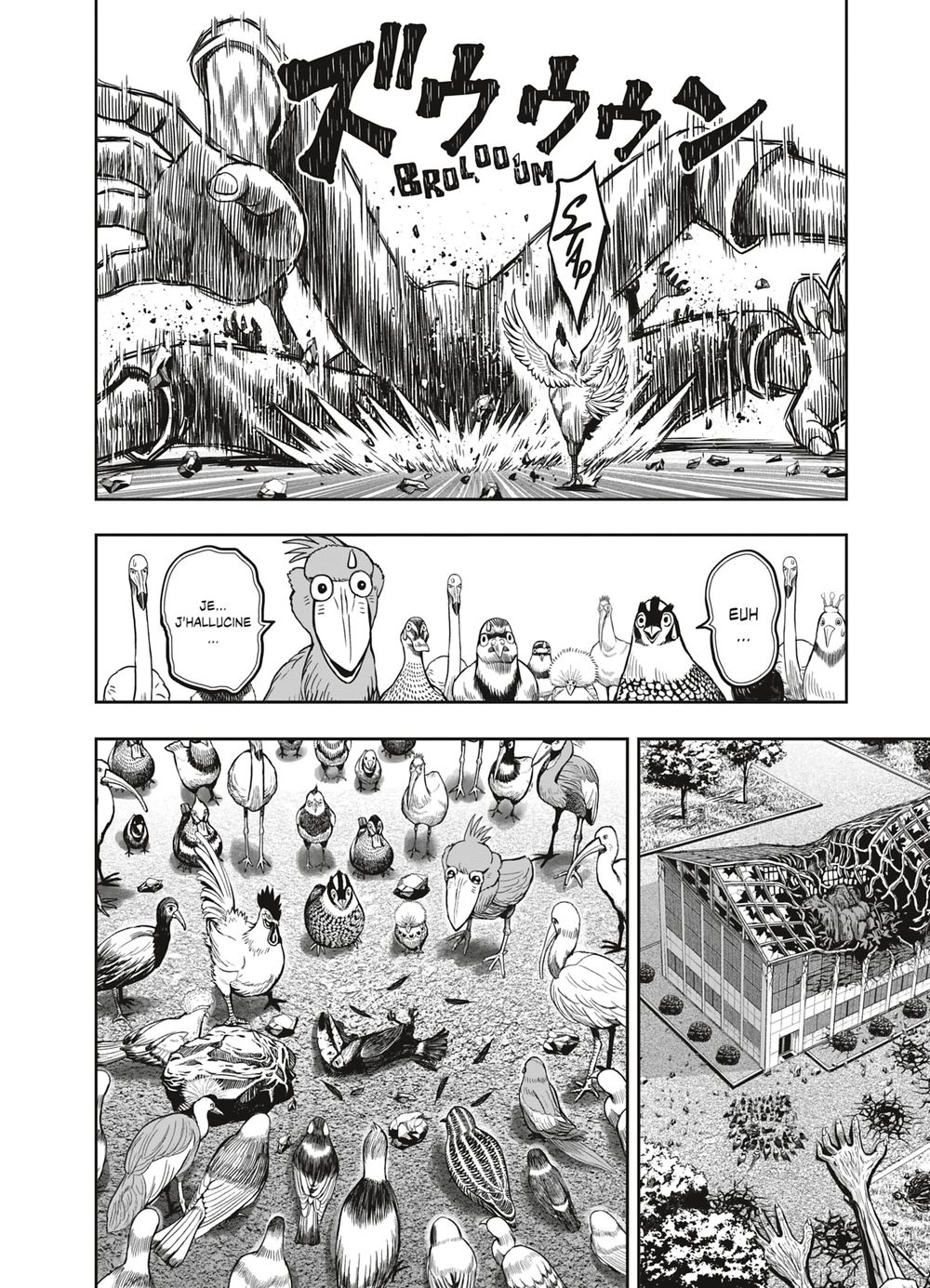 Read Niwatori Fighter Rooster Fighter fr   Manga Online