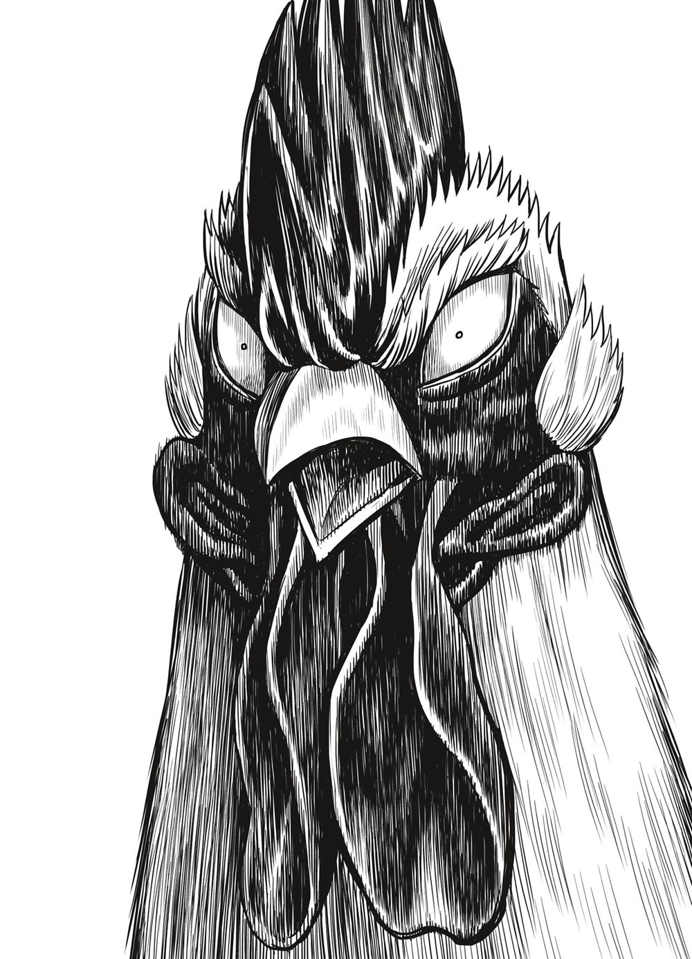 Read Niwatori Fighter Rooster Fighter fr   Manga Online
