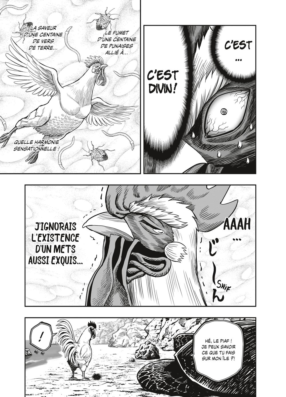 Read Niwatori Fighter Rooster Fighter fr   Manga Online