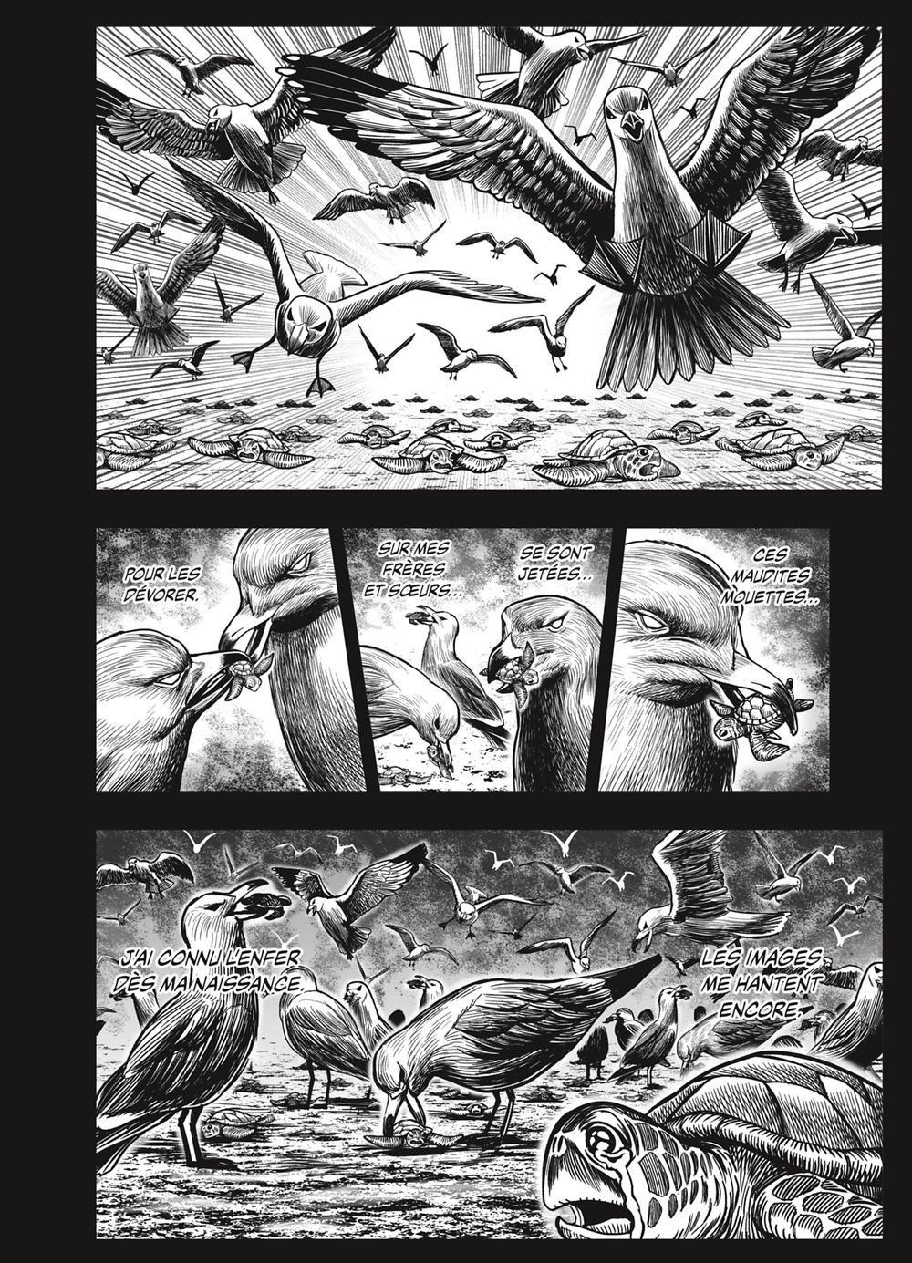 Read Niwatori Fighter Rooster Fighter fr   Manga Online