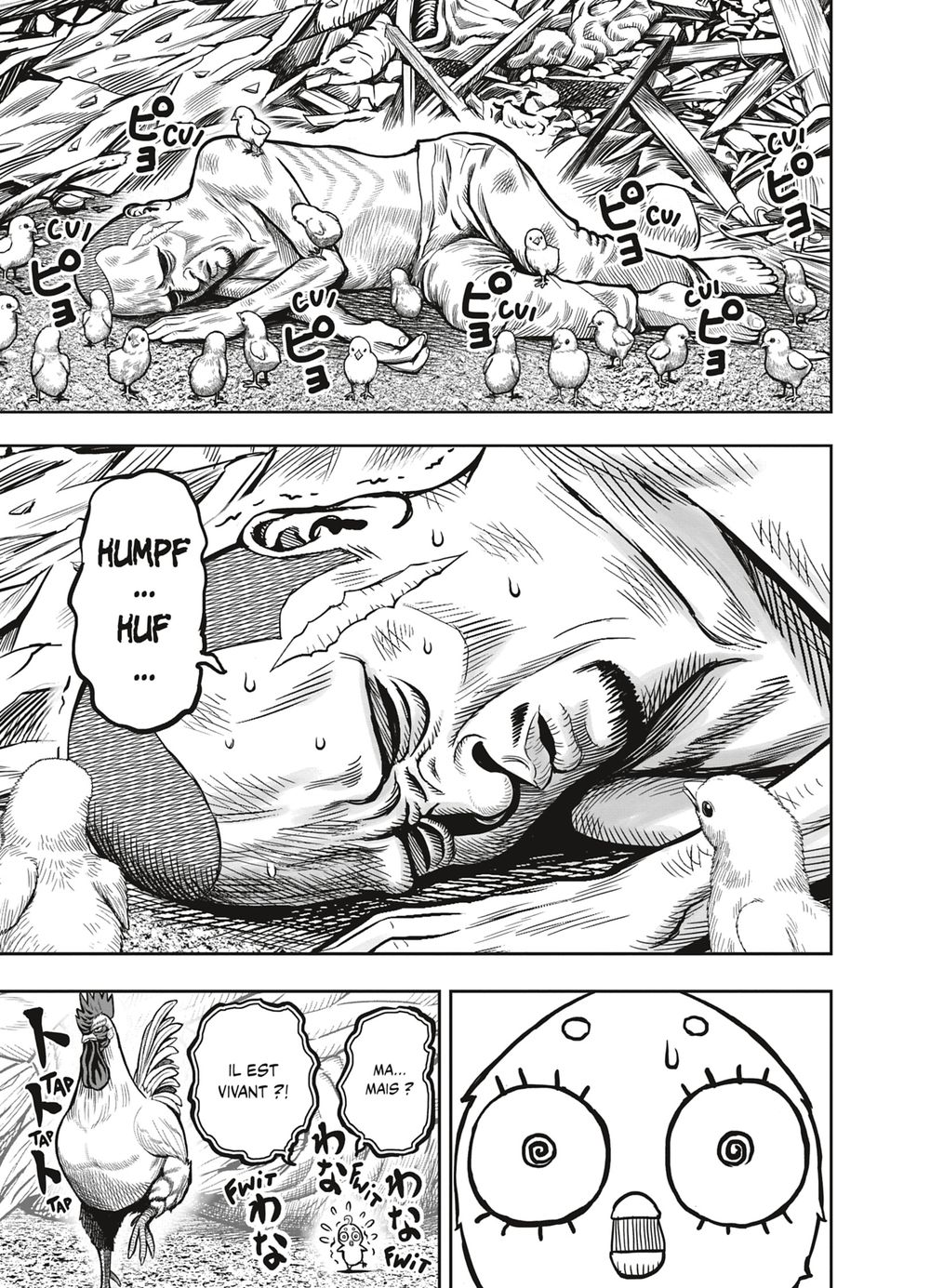 Read Niwatori Fighter Rooster Fighter fr   Manga Online