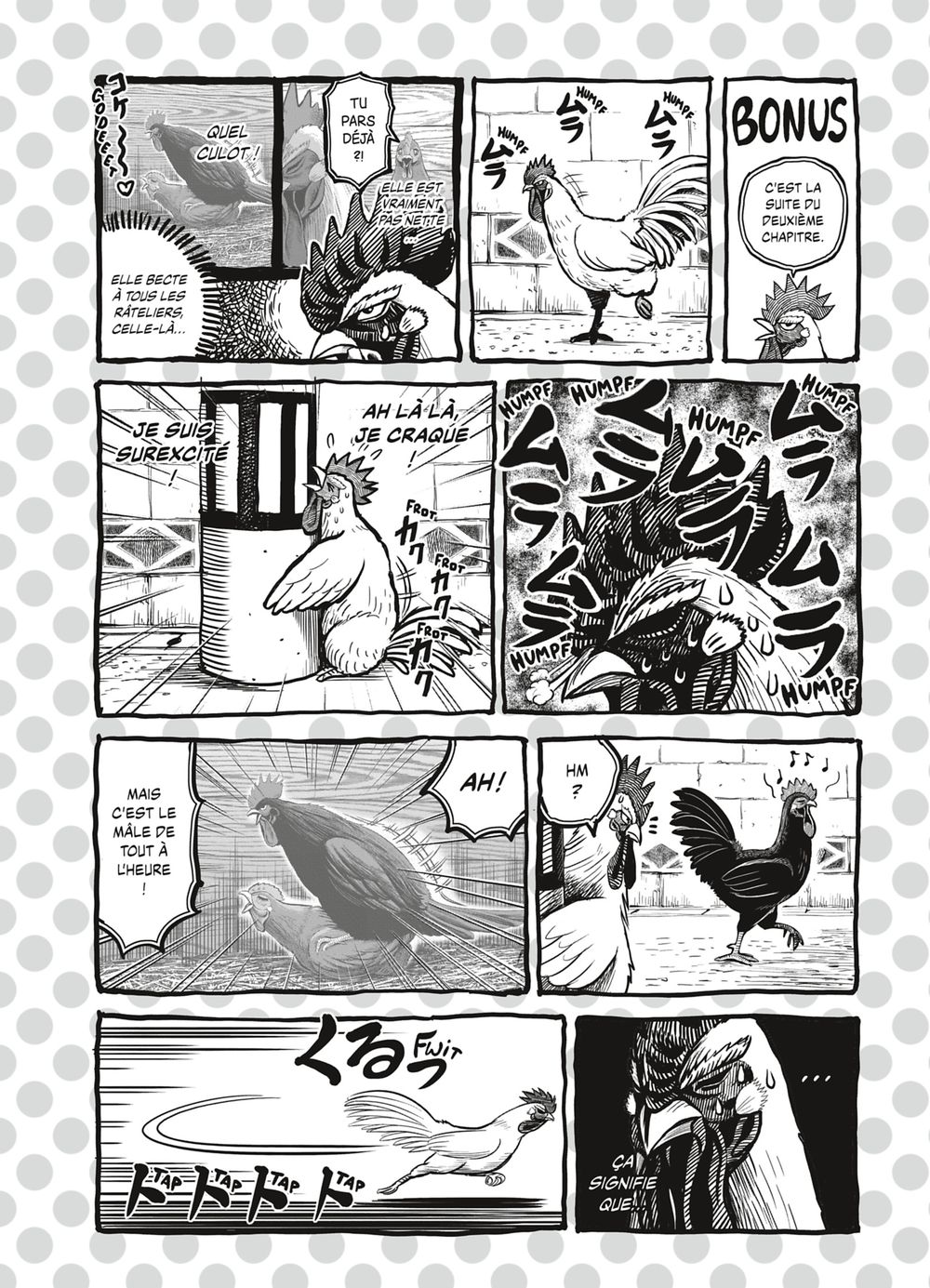 Read Niwatori Fighter Rooster Fighter fr   Manga Online
