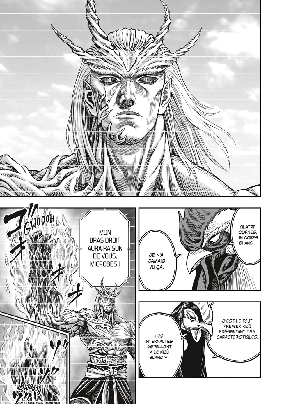 Read Niwatori Fighter Rooster Fighter fr   Manga Online