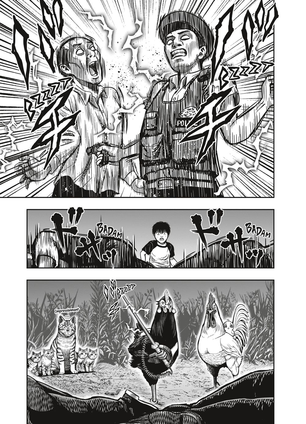 Read Niwatori Fighter Rooster Fighter fr   Manga Online