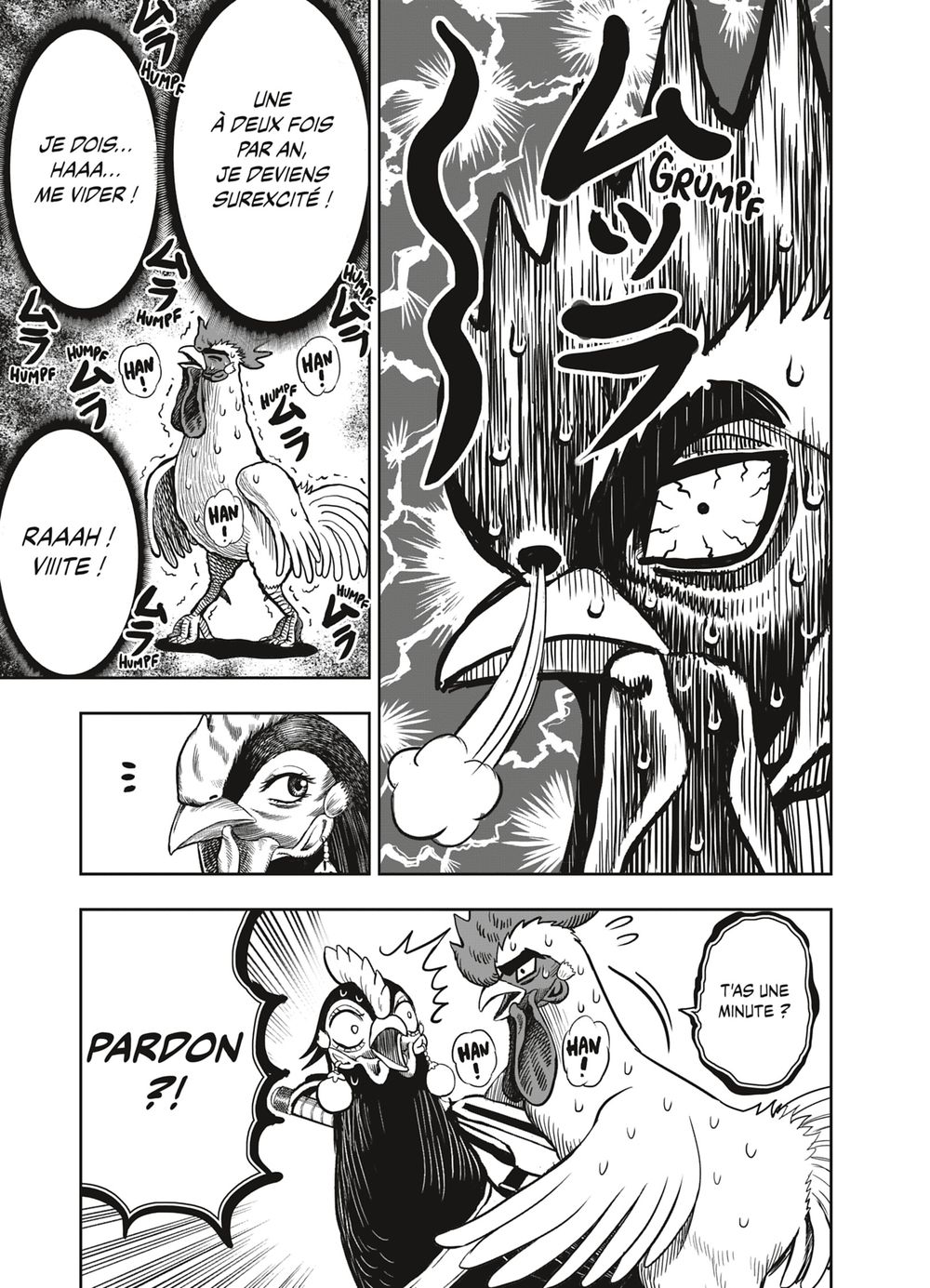Read Niwatori Fighter Rooster Fighter fr   Manga Online