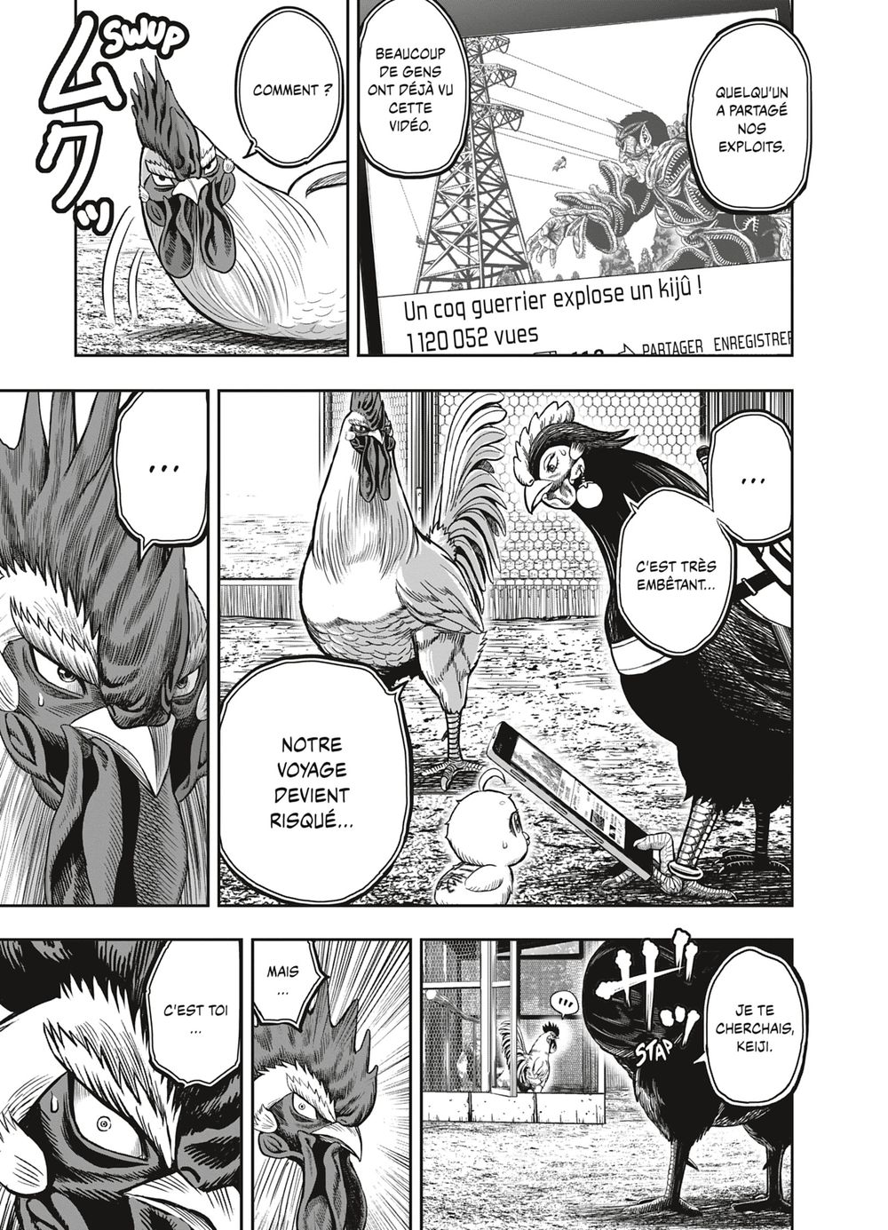 Read Niwatori Fighter Rooster Fighter fr   Manga Online