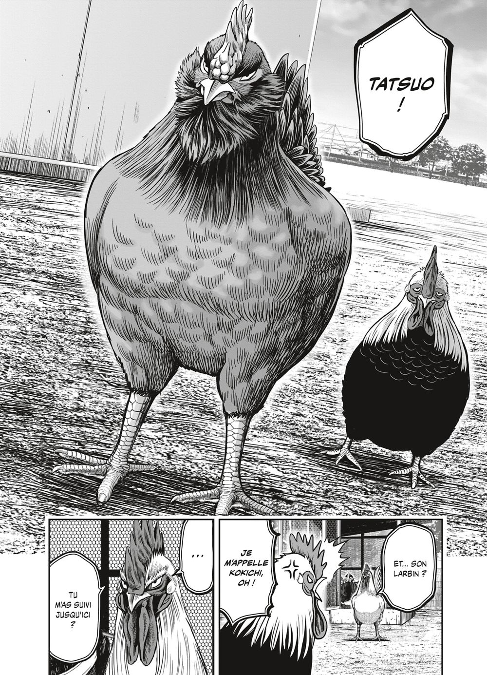 Read Niwatori Fighter Rooster Fighter fr   Manga Online