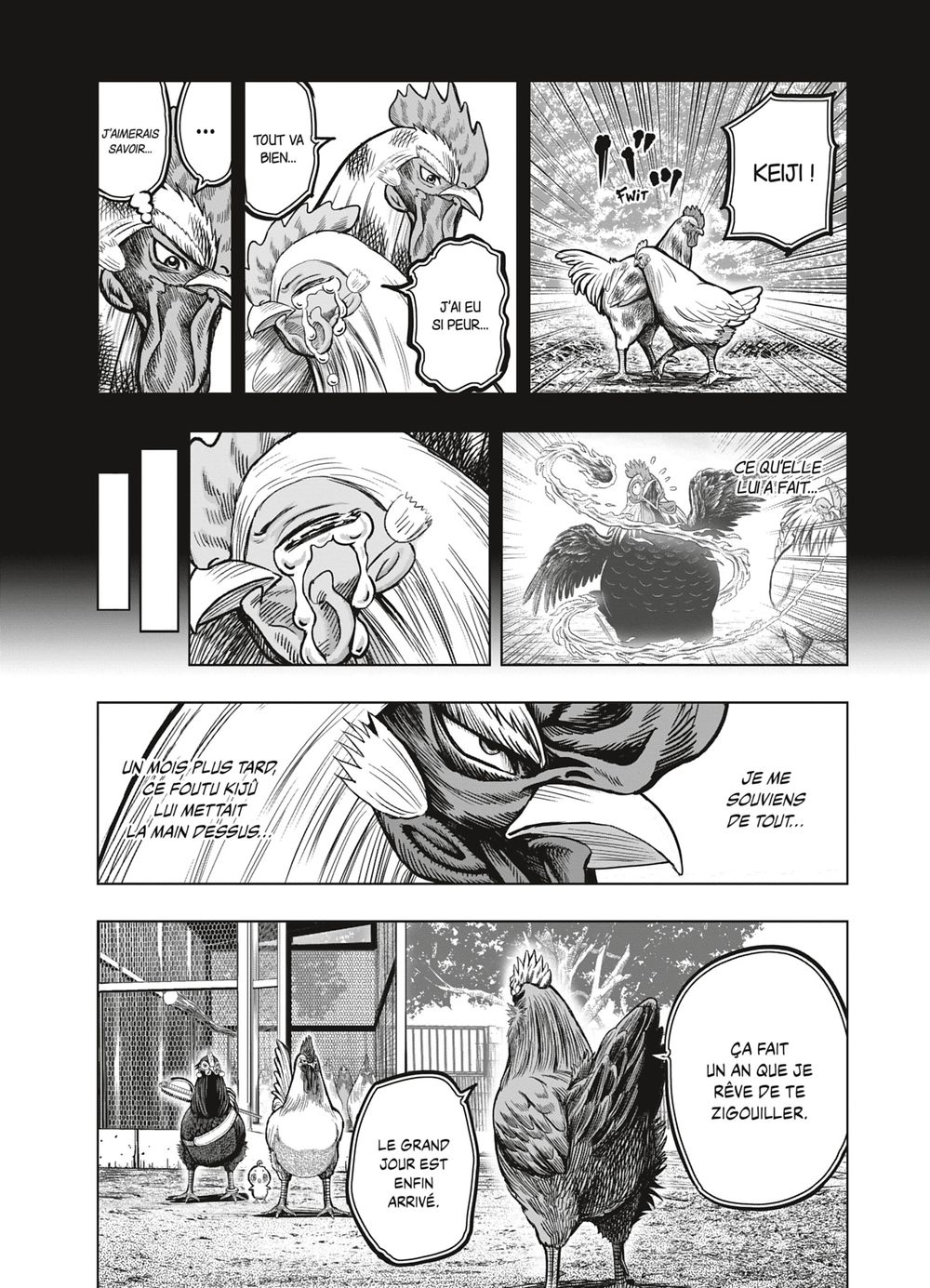 Read Niwatori Fighter Rooster Fighter fr   Manga Online