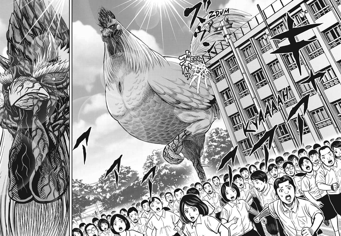 Read Niwatori Fighter Rooster Fighter fr   Manga Online