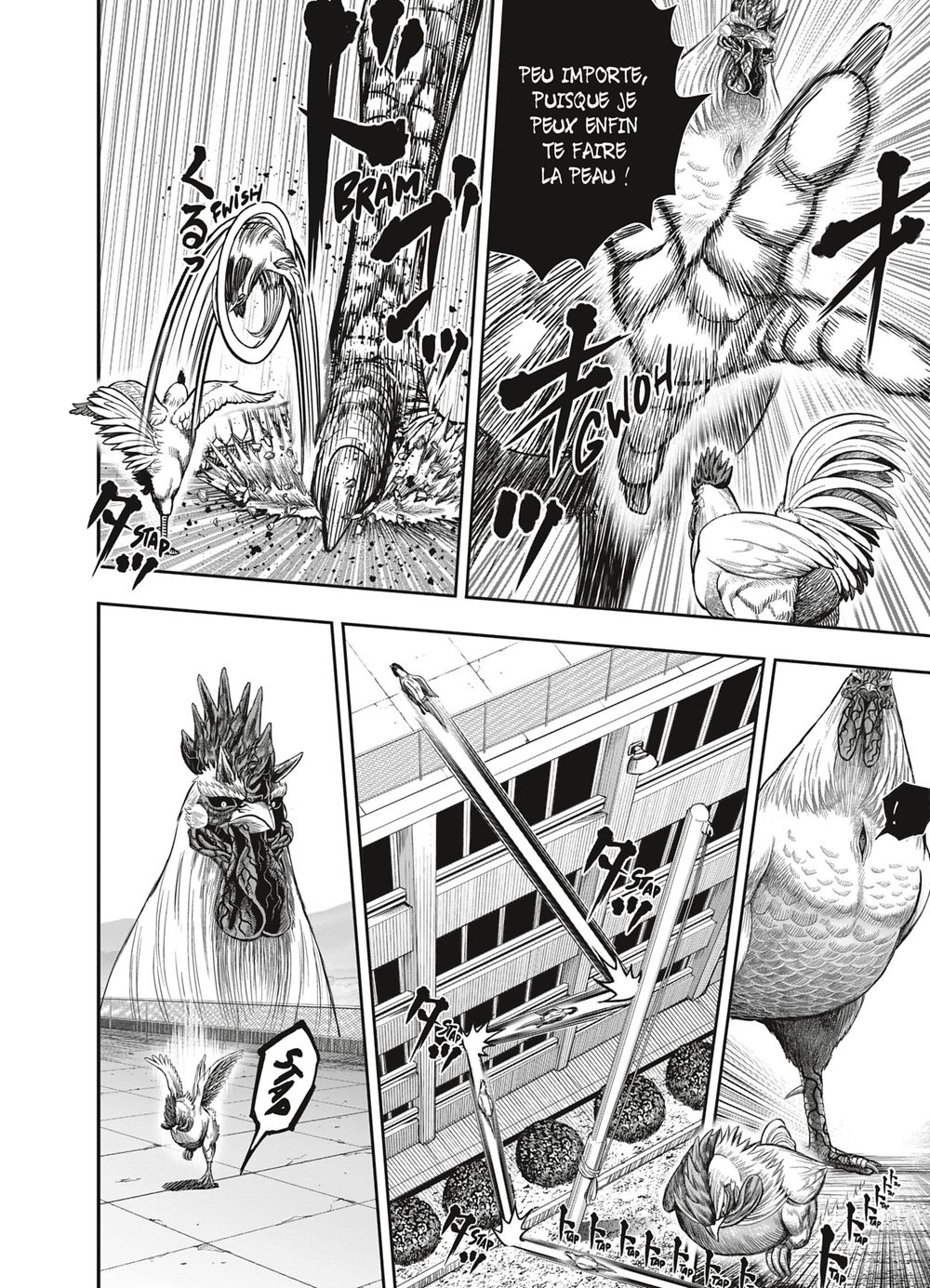 Read Niwatori Fighter Rooster Fighter fr   Manga Online