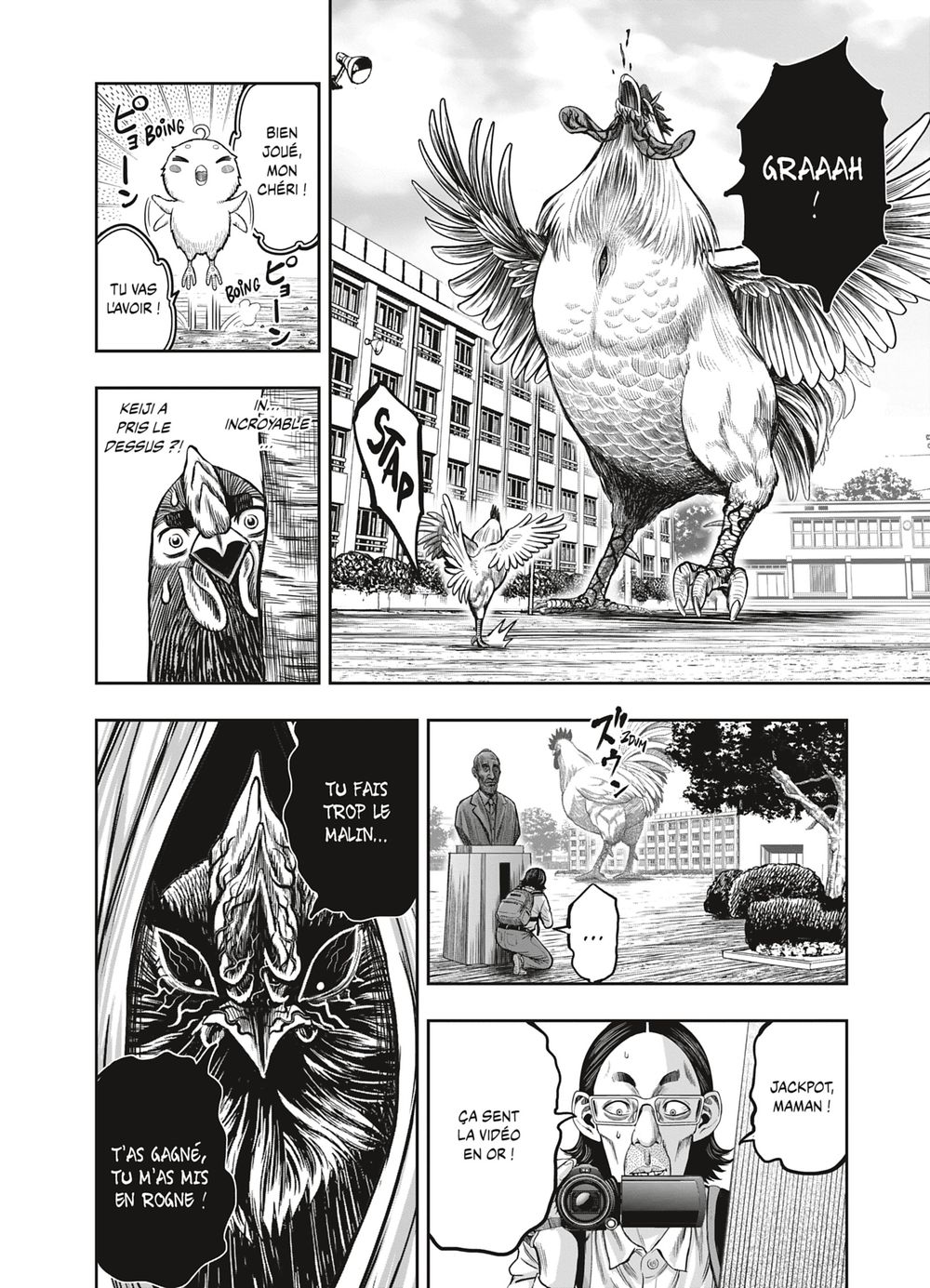 Read Niwatori Fighter Rooster Fighter fr   Manga Online