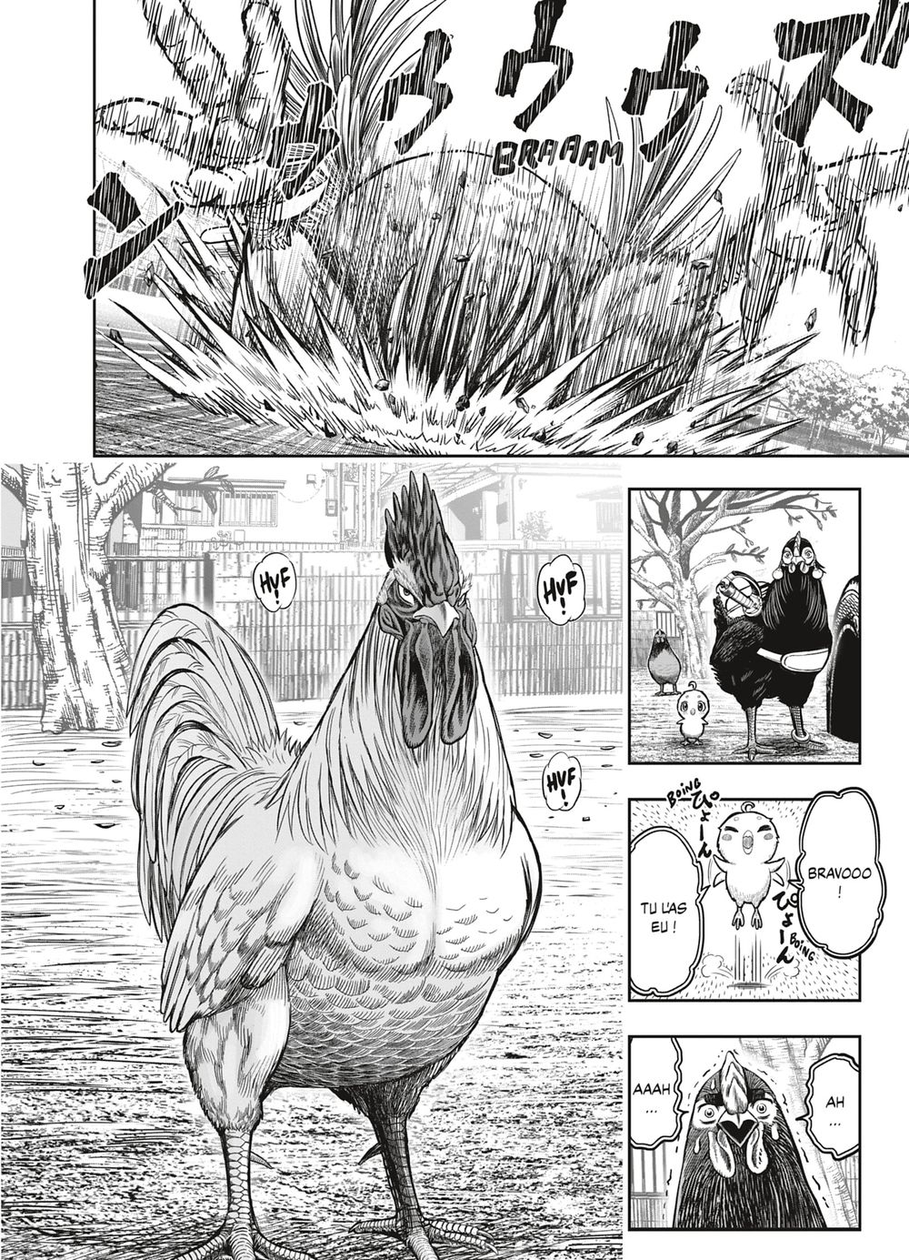 Read Niwatori Fighter Rooster Fighter fr   Manga Online