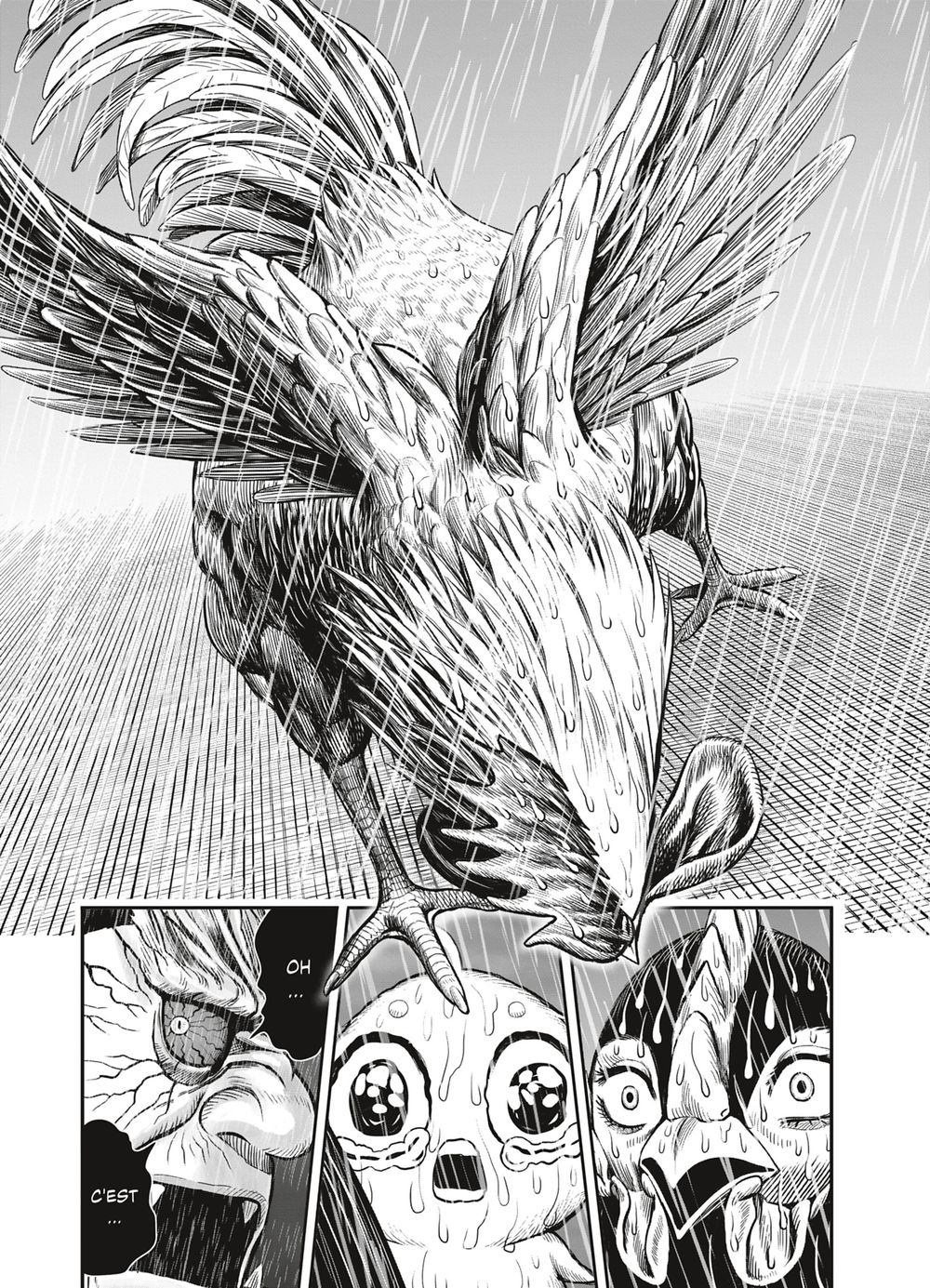 Read Niwatori Fighter Rooster Fighter fr   Manga Online