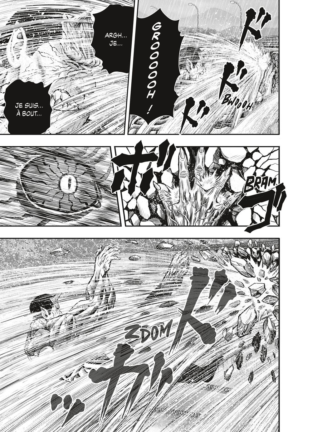 Read Niwatori Fighter Rooster Fighter fr   Manga Online