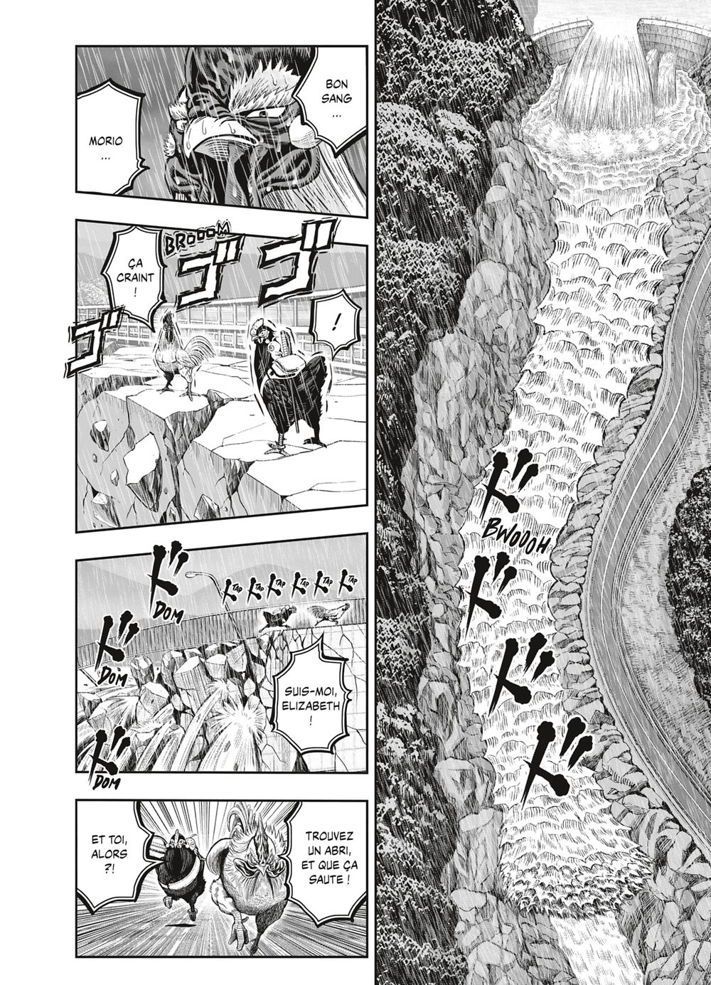 Read Niwatori Fighter Rooster Fighter fr   Manga Online
