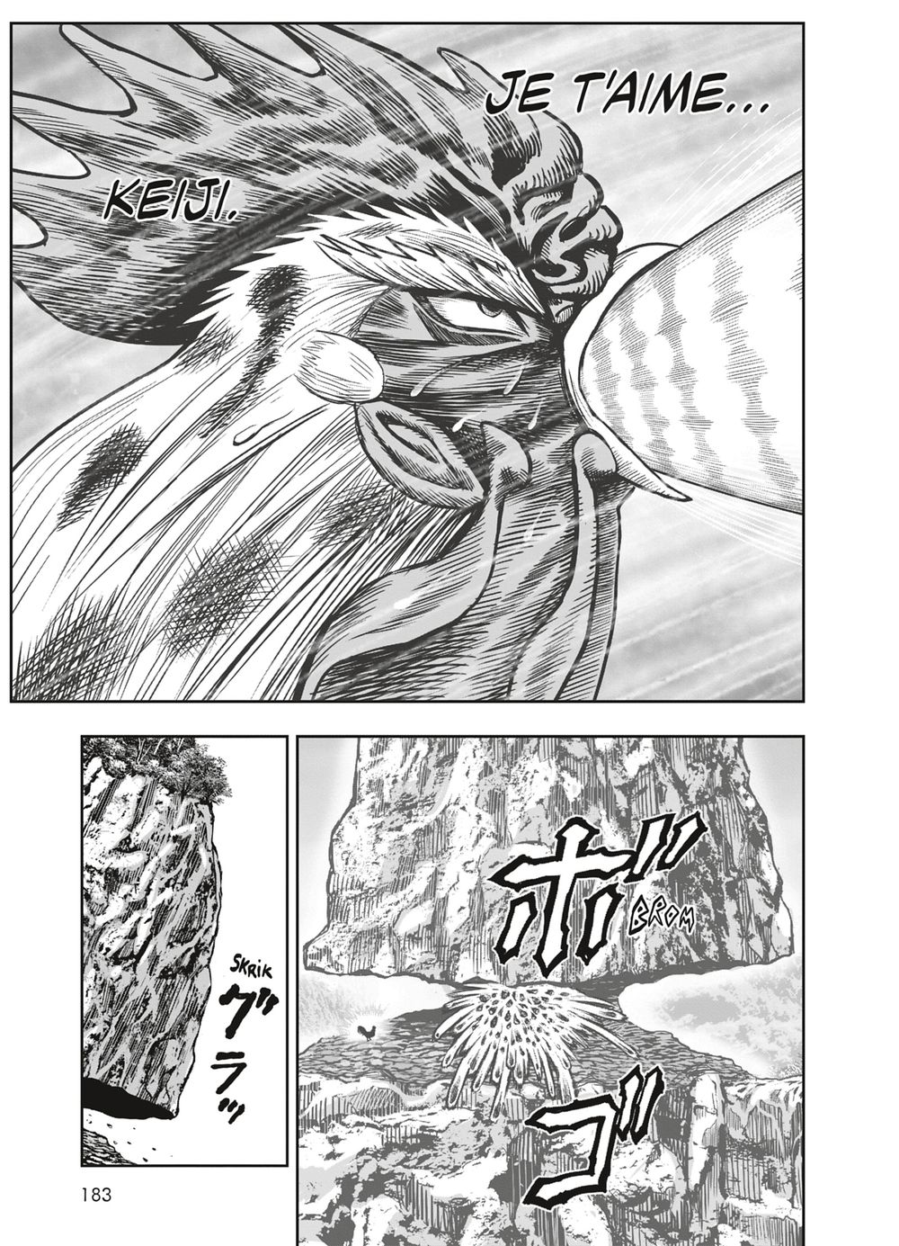 Read Niwatori Fighter Rooster Fighter fr   Manga Online
