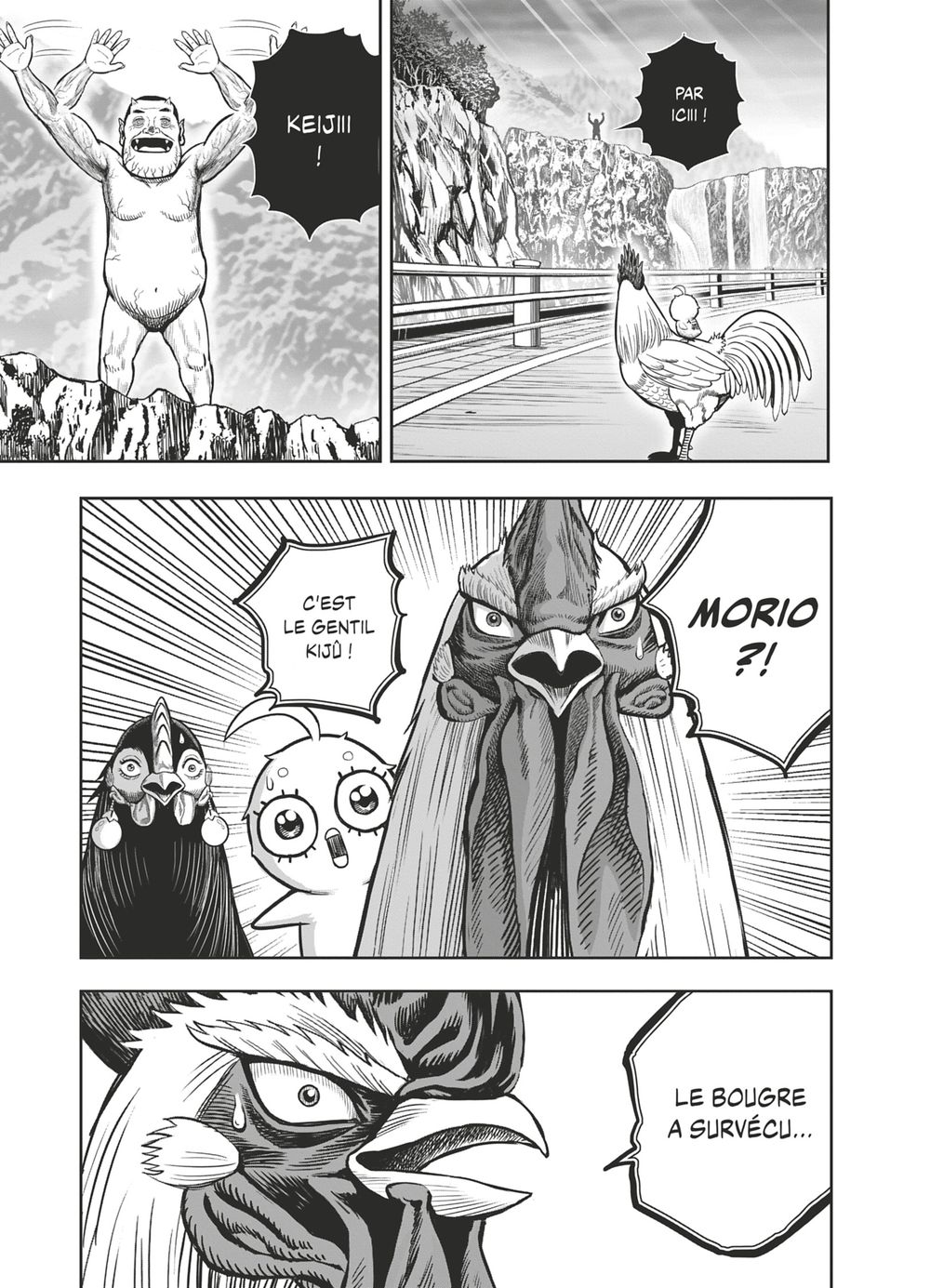 Read Niwatori Fighter Rooster Fighter fr   Manga Online