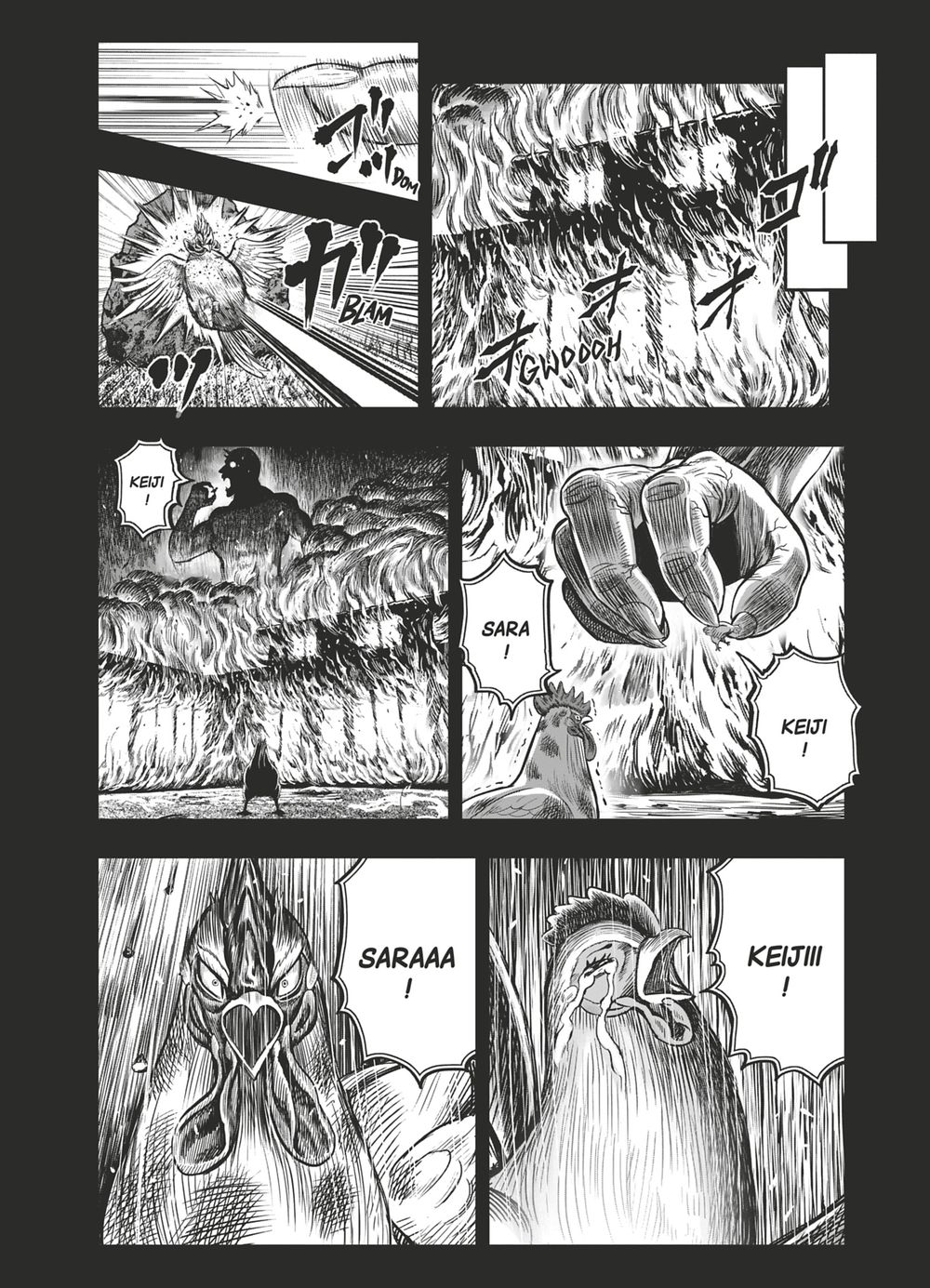 Read Niwatori Fighter Rooster Fighter fr   Manga Online