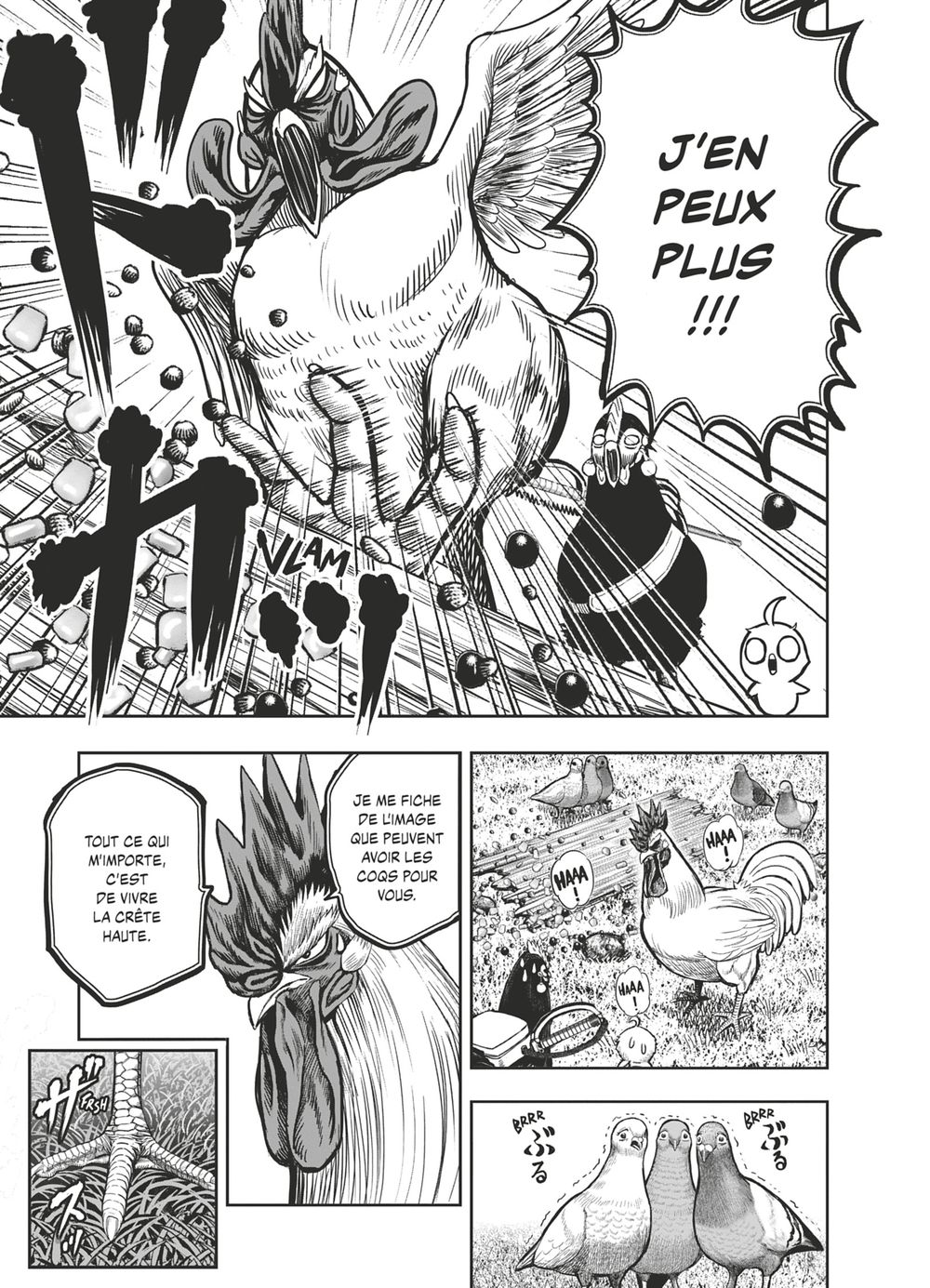 Read Niwatori Fighter Rooster Fighter fr   Manga Online
