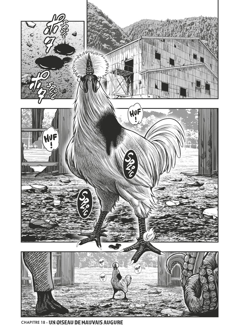 Read Niwatori Fighter Rooster Fighter fr   Manga Online