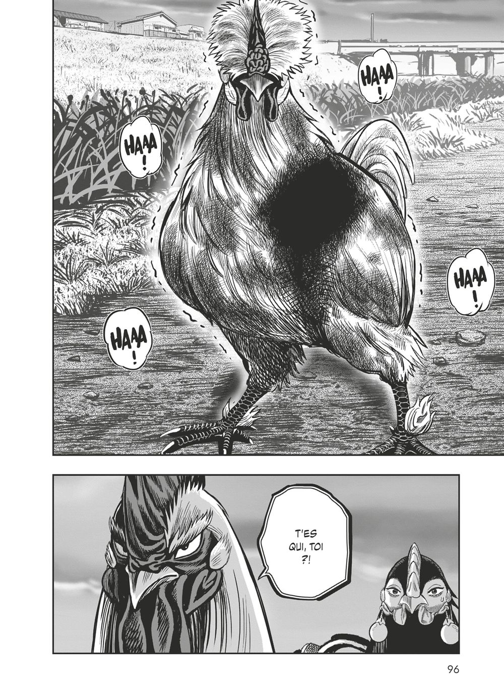 Read Niwatori Fighter Rooster Fighter fr   Manga Online