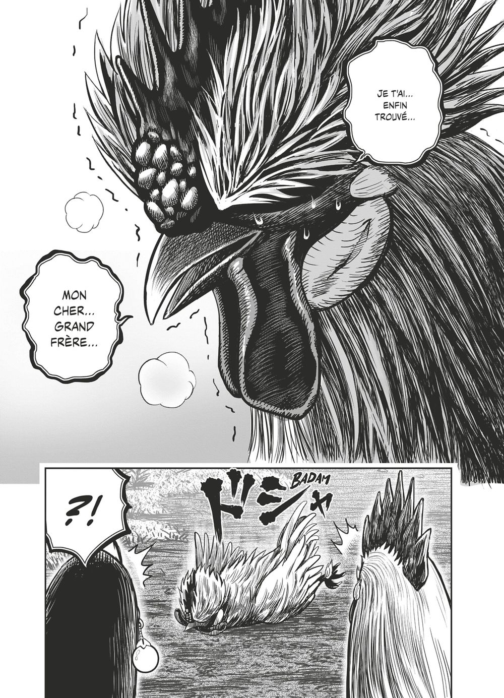Read Niwatori Fighter Rooster Fighter fr   Manga Online