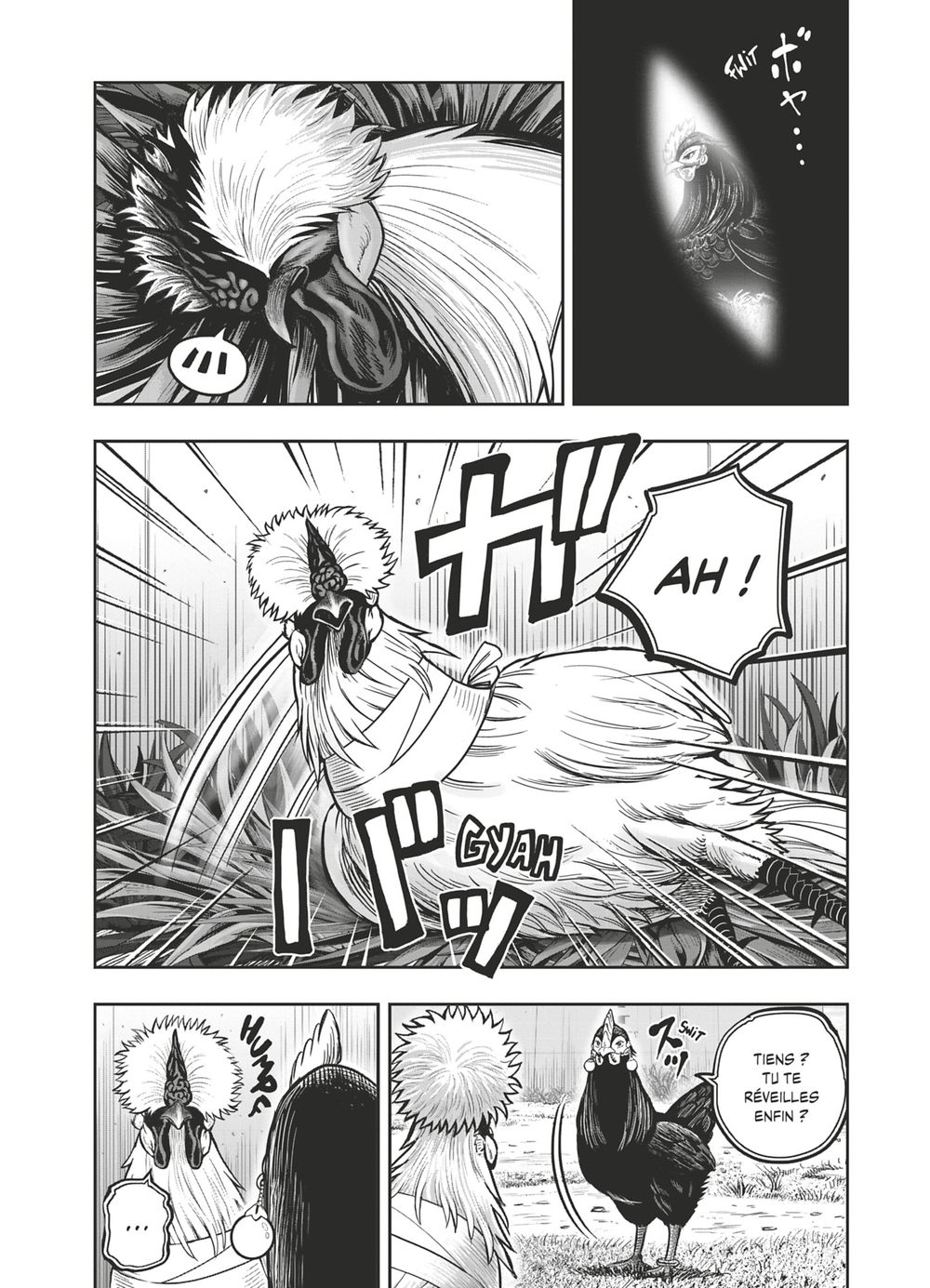 Read Niwatori Fighter Rooster Fighter fr   Manga Online