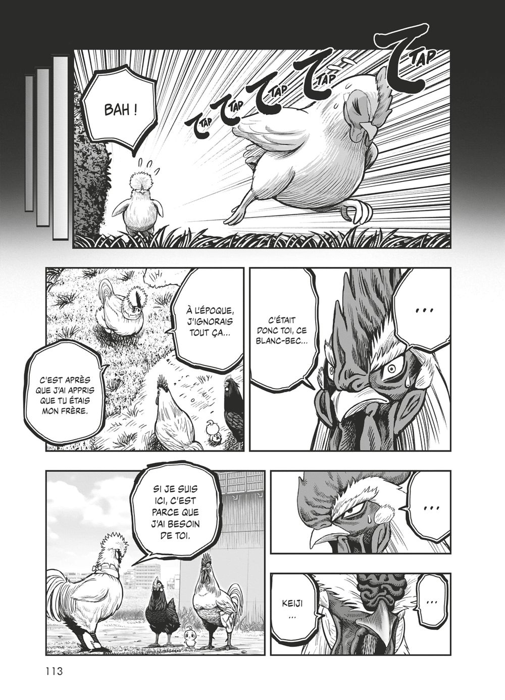 Read Niwatori Fighter Rooster Fighter fr   Manga Online