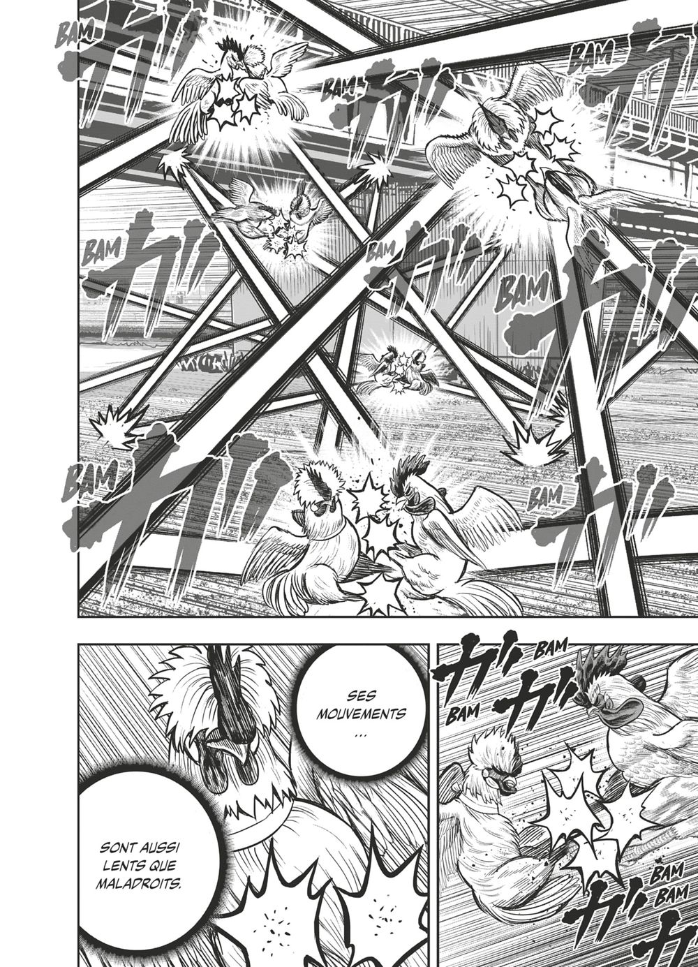 Read Niwatori Fighter Rooster Fighter fr   Manga Online