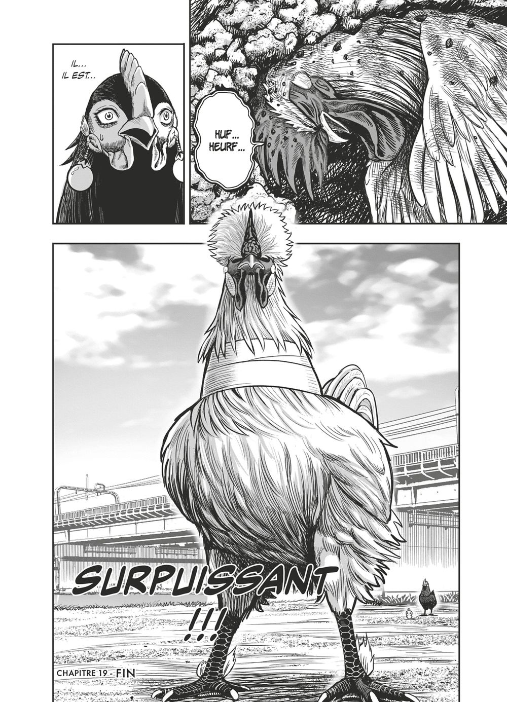 Read Niwatori Fighter Rooster Fighter fr   Manga Online
