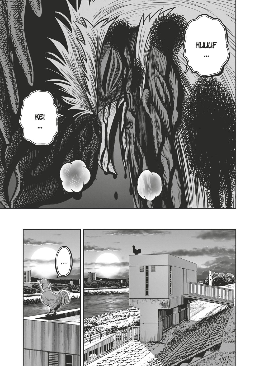 Read Niwatori Fighter Rooster Fighter fr   Manga Online