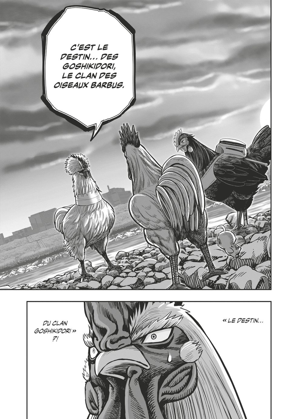 Read Niwatori Fighter Rooster Fighter fr   Manga Online