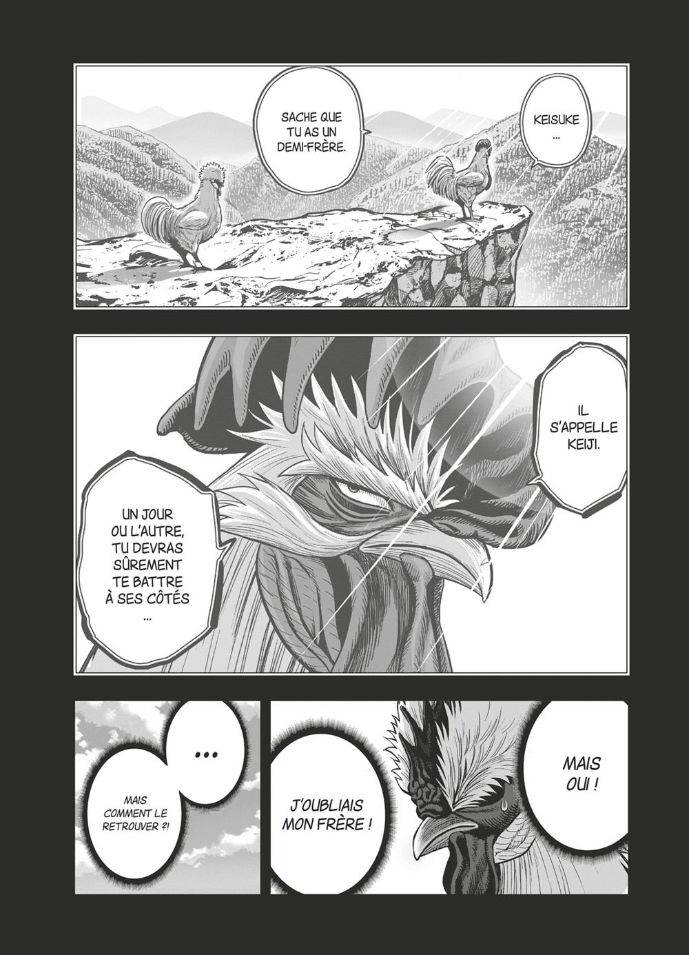 Read Niwatori Fighter Rooster Fighter fr   Manga Online