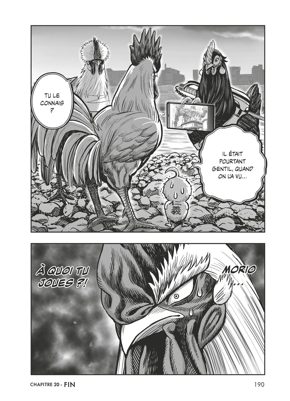 Read Niwatori Fighter Rooster Fighter fr   Manga Online